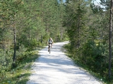 la ciclabile Dobbiaco - Cortina ex sede ferroviaria